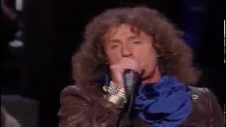 Roger Daltrey - Amazing Journey/Pinball Wizard (Live at Carnegie Hall 1994)