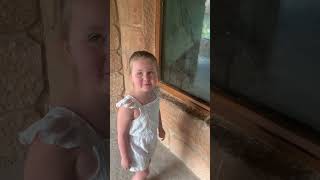 Girl Interacts With A Gorilla In An Enclosure Through The Glass