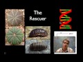The Evolution of Classification from Linnaeus to Modern Taxonomy