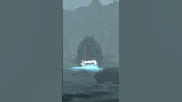 Developers Know How Satisfying This Is #DeathStranding2 #OntheBeach