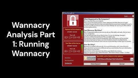 WannaCry Analysis Part 1:  Running WannaCry