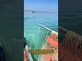 伝統的な刺し網漁 最も満足のいく魚釣りの方法：船から刺し網を展開する方法：ステップバイステップガイド プロの刺し網の設置と展開