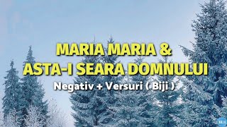 Negativ - MARIA MARIA, ASTA-I SEARA DOMNULUI (Original Biji)