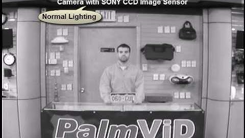 PalmVID Black & White Video Camera with Sony CCD Image Sensor Sample Video