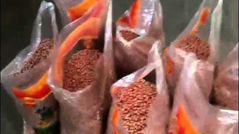 Peanuts color sorter/peanuts color sorting machine/peanuts color separator