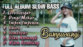 Dj Full Album Banyuwangi Divana Project