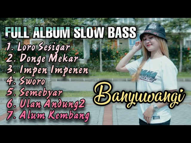 Dj Full Album Banyuwangi Divana Project class=