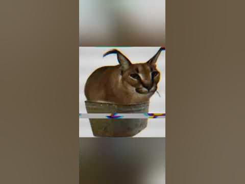 шльопа - YouTube