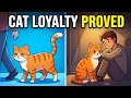 Your Quiet Cat Is More Loyal Than You Ever Realized