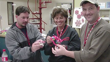 Modeling the Molecular World - Summer Professional Development Workshop