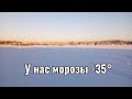 11 января 2021 г.