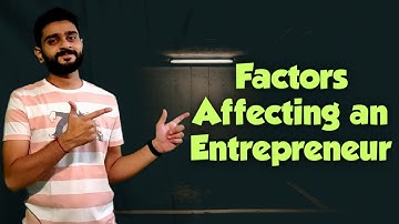 What are the factors affecting an Entrepreneur?