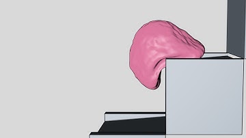 Softbody Simulation V13 (Cartoon Style)