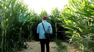 Uesugi Farms | Cinematic Vlog