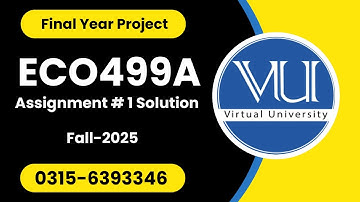 ECO499A Project Assignment 1 Solution 2025 #eco499a