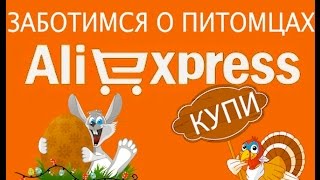 Товары для животных на АliExpress Товары для животных на АliExpress