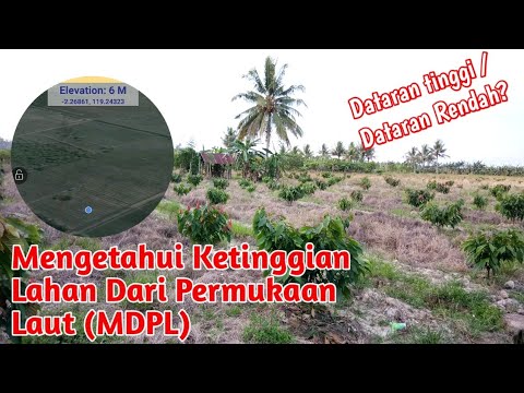 Video: Cara Menentukan Permukaan Laut