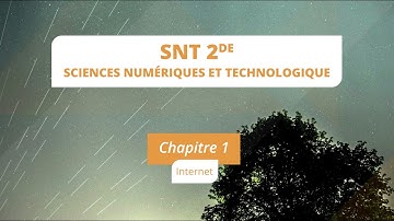 Internet (SNT 2de)