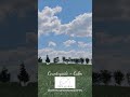 Country Clutter vs Country Calm
