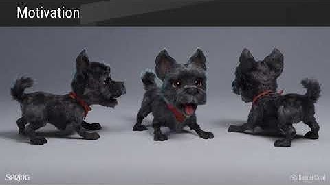 Using HW Ray Transforms to Accelerate Ray/Primitive Intersections for Long Thin Primitives HPG 2020