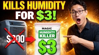 $3 vs $300 Dehumidifier – The Truth They Don’t Tell You!