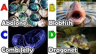 Toddler Learning - Learn Ocean Animals | Educational Videos for Kids | Learning Videos for Toddlers