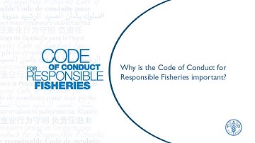 Why is the FAO Code of Conduct for Responsible Fisheries important?
