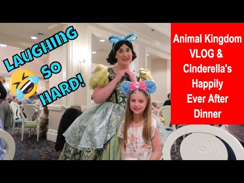disney-vlog-day-4-at-the-animal-kingdom-|-cinderella's-happily-ever-after-dinner-at-1900-park-fare