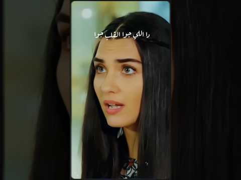 كله قالي اشمعني هو