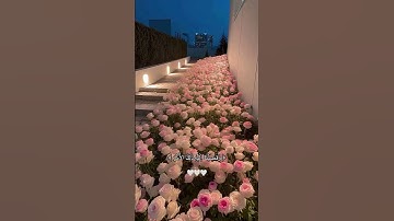 #إسلام_صبحي #اكسبلور #سورة_يس #لايك #ارح_قلبك #تلاوة_خاشعة #ترند #سورة #سورة_الكهف #راحة_نفسية