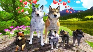 NUESTROS LOBOS CREAN UNA FAMILIA | WOLF QUEST