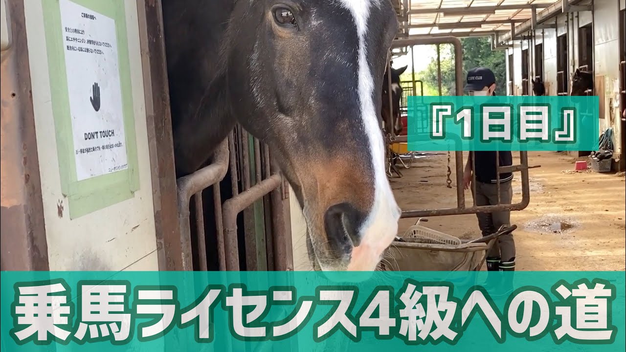 乗馬ライセンス４級を取る〜１日目〜