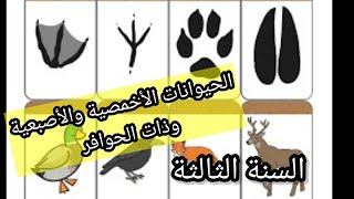 الفرق بين الحيوانات الأخمصية و الأصبعية وذات الحوافر للسنة الثالثة ابتدائي ? علمية