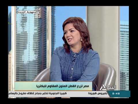 هذا الصباح 7 9 2021 د محمد عبد الرحمن نجم استاذ بمركزبحوث القطن