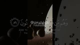 {من جاء بالحسنة فله خير منها وهم من فزع يومئذ آمنون} سورة النمل |  القارئ أحمد خضر 💙