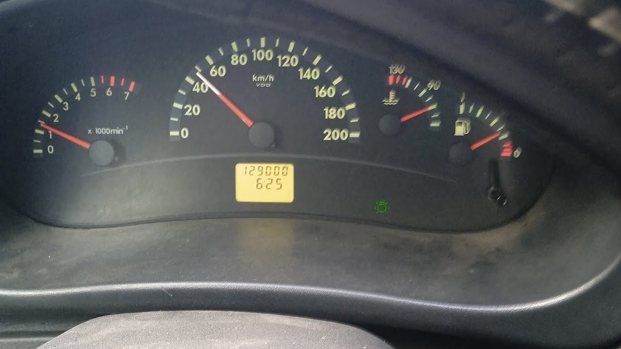 Калина 10 лет