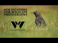 Wildlife photography new location tips - what I do when visiting somewhere new.