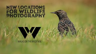 Wildlife photography new location tips - what I do when visiting somewhere new. screenshot 3