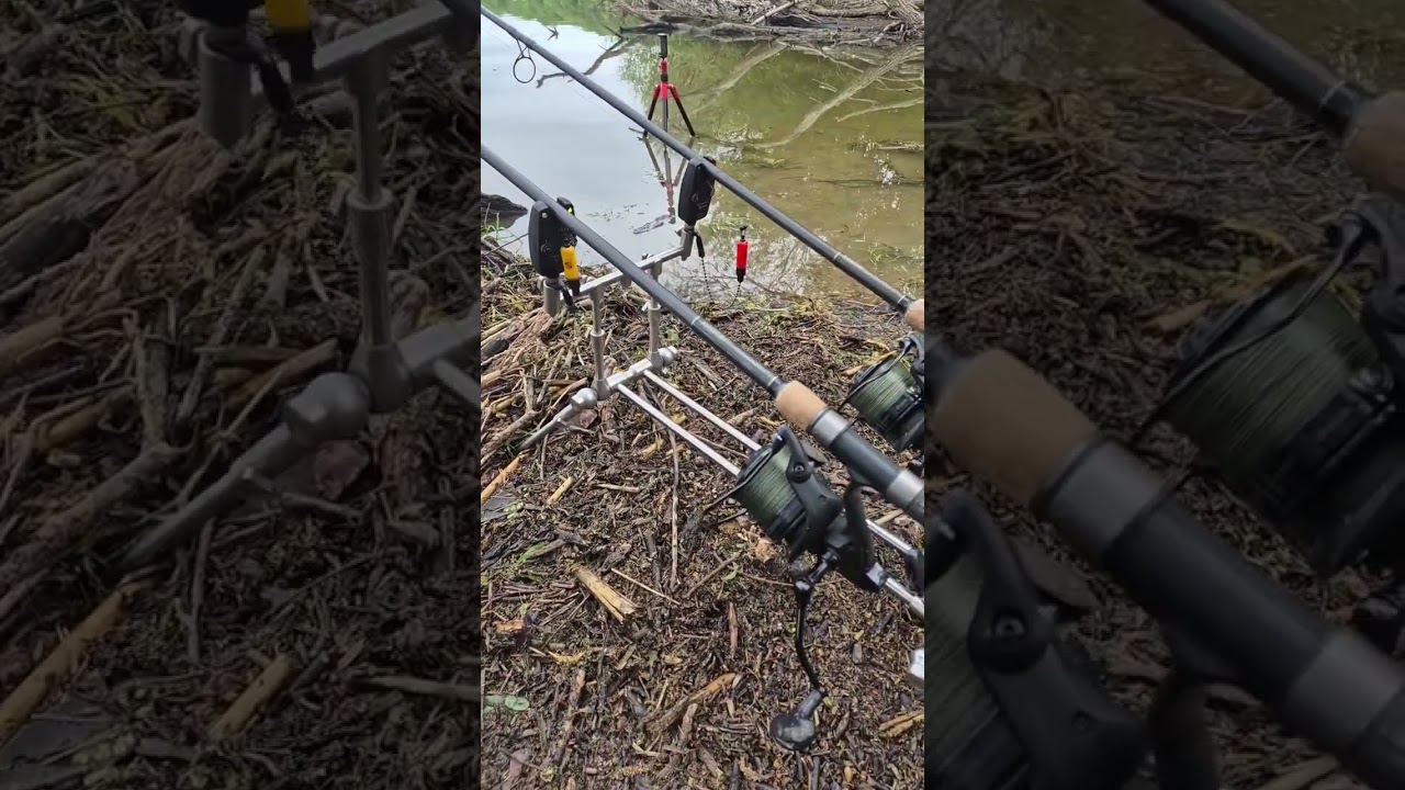 Fastest Catch Ever? 🕒🎣 