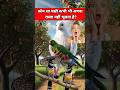 Konsa Pakshi Apna Rasta kabi nahi bhulta 😱🤷🤔❓..!!#shorts#gk #video #education #animals #gk #trend