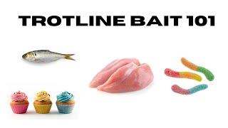 Trotline Bait 101 | The Best Trotline Bait's For BIG Catfish & Huge Numbers Guaranteed by Georgia Assassin 1,407 views 1 year ago 18 minutes
