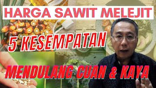 The Palm Oil Prices Skyrocketed, 5 opportunities to gain money & get rich The Palm Oil Prices Skyrocketed, 5 opportunities to gain money & get rich