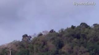 Pitutur wahyu kolosebo
