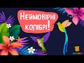 Дива природи. Явища навколо нас. Колібрі