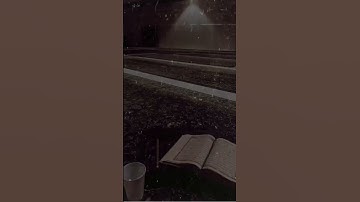 تلاوه خاشعه جدا تبكي القلوب المتحجره