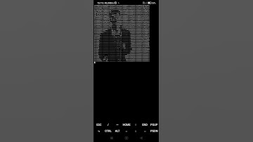 curl ascii.live/can-you-hear-me in #Termux