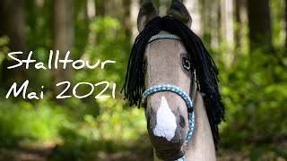 Stalltour Mai 2021/kht_calvano/ Hobbyhorse