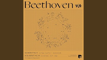 Quartet No. 9 in C Major, Op. 59 No. 3 "Rasoumovsky": IV. Allegro molto