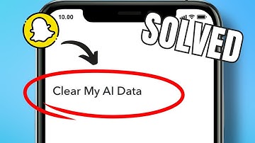 HOW TO CLEAR AI DATA ON SNAPCHAT