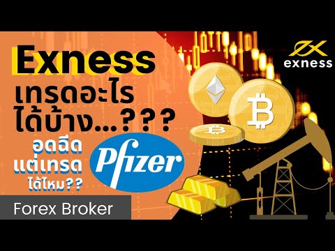 Exness เทรดอะไรได้บ้าง? อยากเทรดทอง น้ำมัน Bitcoin คริปโต หุ้น ใน Exness มีไหม? | Exness รีวิว